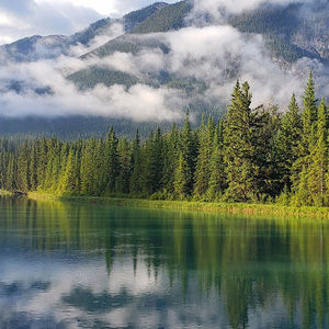 Meet your Posher, Rohan